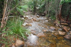 Stream on Hinchinbrook inland from Scraggy Point