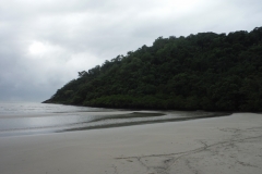 Cape Tribulation