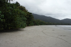 Cape Tribulation