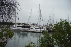 Port Douglas Marina