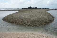 Coral Bar no sand to be seen