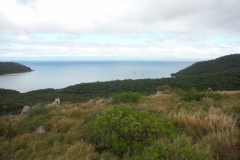 Little Pioneer Bay from Orpheus Island Peak