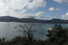 Langford lookout