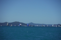 Airlie Beach Race week