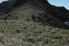 Border Island Lookout