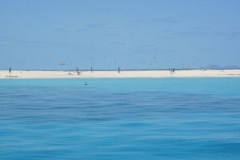 Michaelmas Cay/Reef