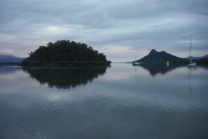 Haycock Island in the Hinchinbrook Channel