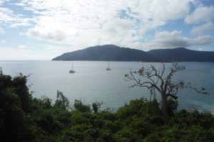 Langford lookout