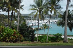 Spot Rhapsody Hamilton Island